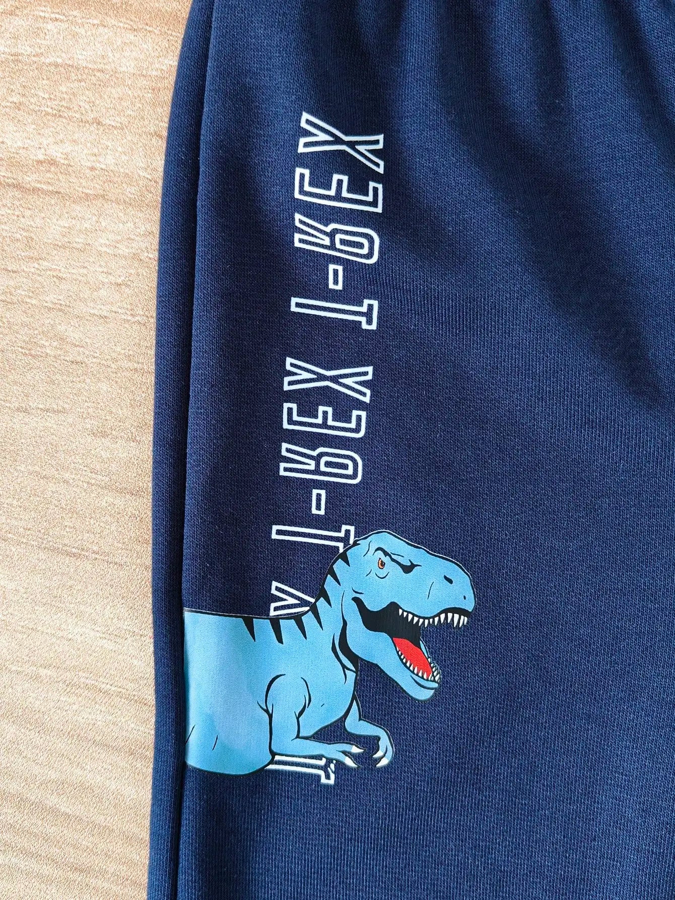 2-Piece Spring And Autumn Baby Boy Casual Cute Comfortable Sports Outdoor Long Sleeve Pants Suit Dinosaur Print DX2731